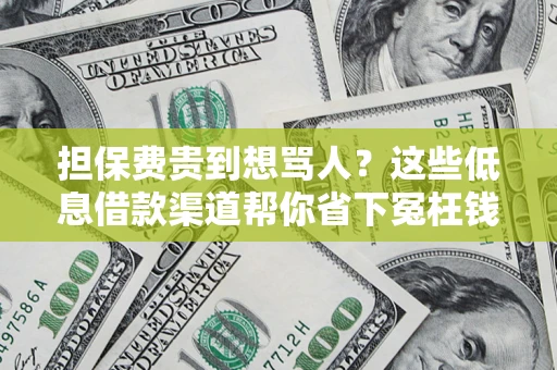 北京担保费贵到想骂人？这些低息借款渠道帮你省下冤枉钱